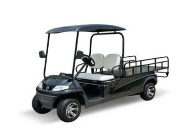 2021 Advanced EV 2 Seat Electric Flatbed Utility Cart